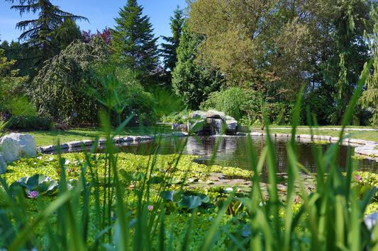 Adventures at Grabenhorst Gardens in Pitt Meadows, BC