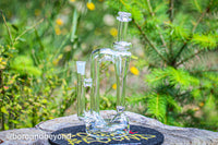 Clear Small-Medium Funkler