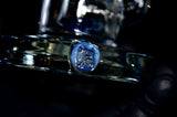 Potion and Secret White Ball Rig