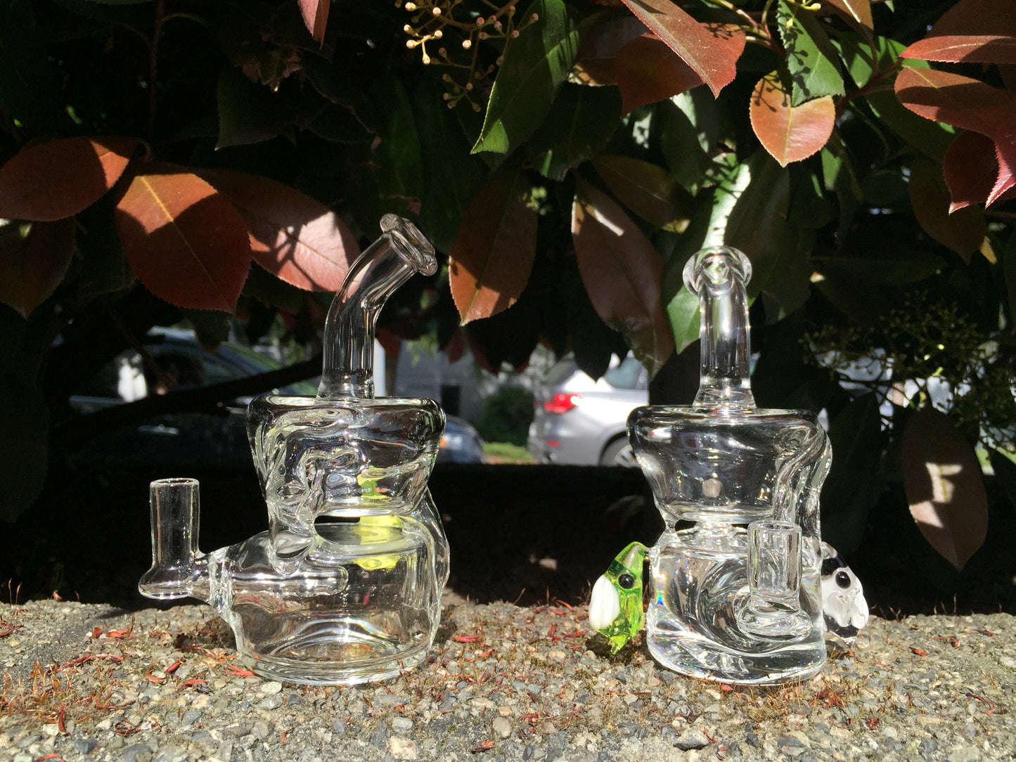 Squatted Scalien Recycler