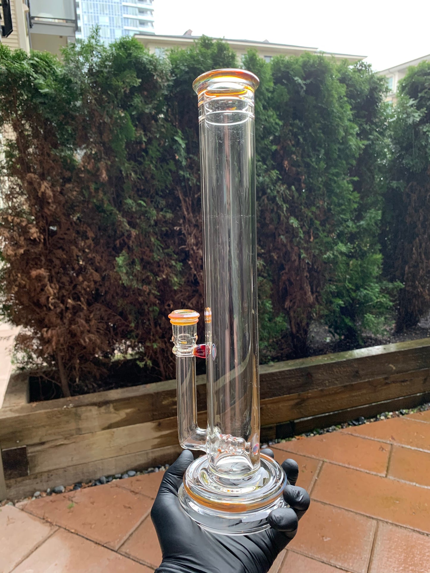 Amber Purple Accent Tube