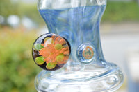 Raked Blue and Clear Neck Minitube