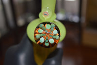 Antidote Mini Tube