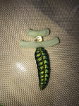 Double Bale Large Wook Portal